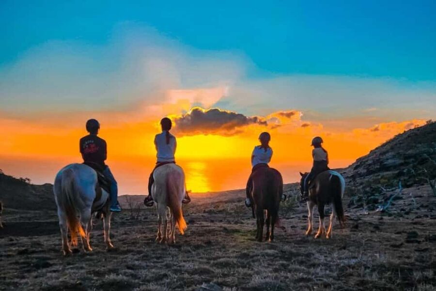 Oahu: Horseback Riding Sunshine or Sunset Tour - Key points to know before you book
