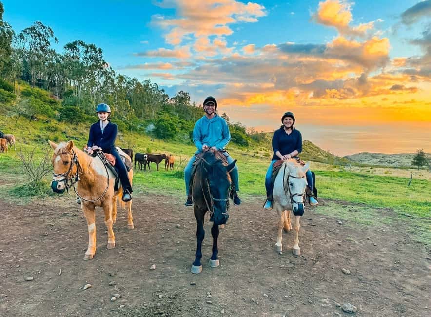 Oahu: Horseback Riding Sunshine or Sunset Tour - Starting at Pālehua Trail Rides near Kapolei