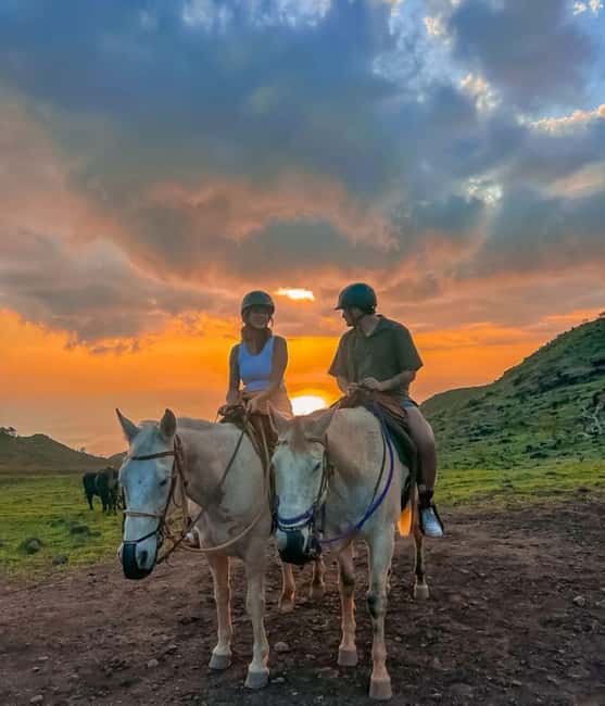 Oahu: Horseback Riding Sunshine or Sunset Tour - Riding a calm polo pony for the first time