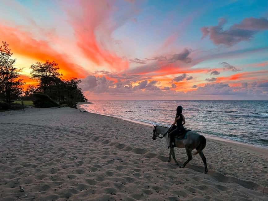 Oahu: Horseback Riding Tour on the North Shore - Key points to know before you book