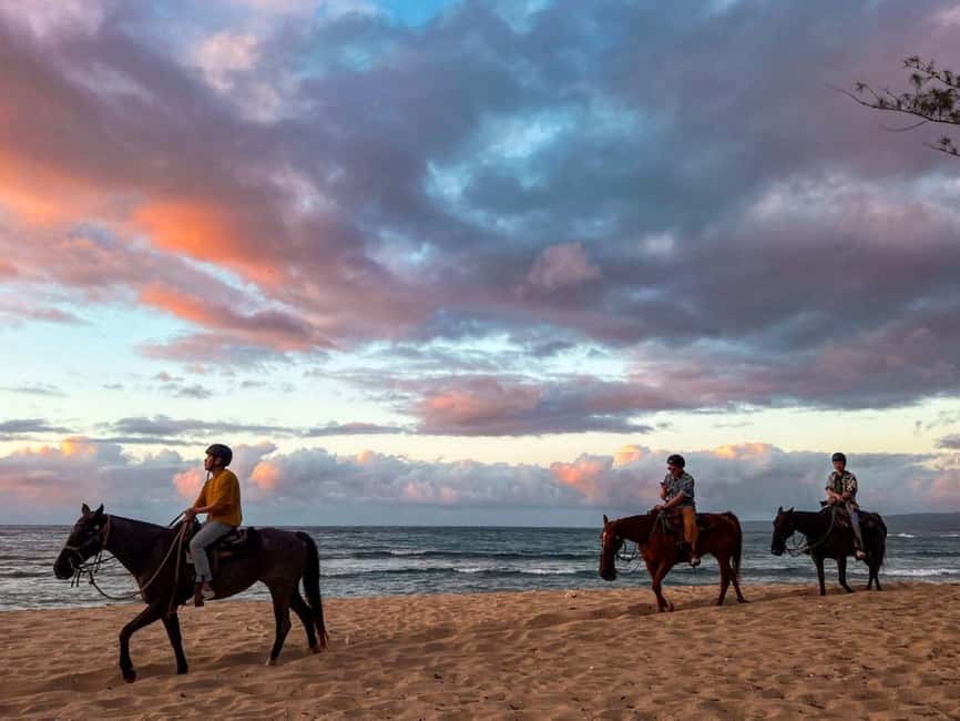 Oahu: Horseback Riding Tour on the North Shore - Why this North Shore horseback ride is appealing