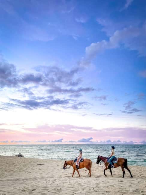 Oahu: Horseback Riding Tour on the North Shore - Meeting the horses and getting ready