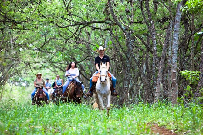 Oahu Sunset Horseback Ride - Why this North Shore ride feels different