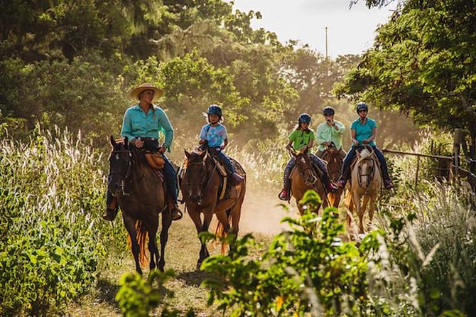 Oahu Sunset Horseback Ride - Calm horses and practical instruction