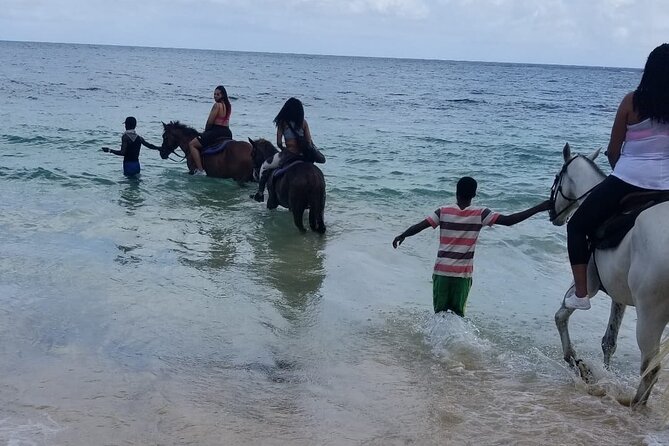 Ocho Rios Private Horse Riding, River Tubing and Rafting[Entry fee not included] - The price requires careful math