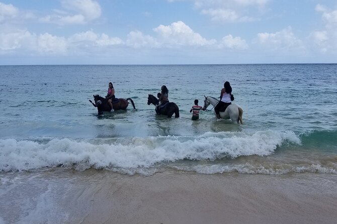 Ocho Rios Private Horse Riding, River Tubing and Rafting[Entry fee not included] - Who will enjoy this combination