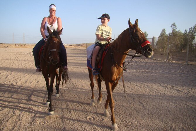 One Hour Desert Horseback Riding Adventure From Sharm El Sheikh - Leaving your hotel by air-conditioned vehicle