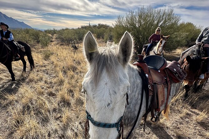One Hour Guided Horseback Ride - Who will enjoy this most