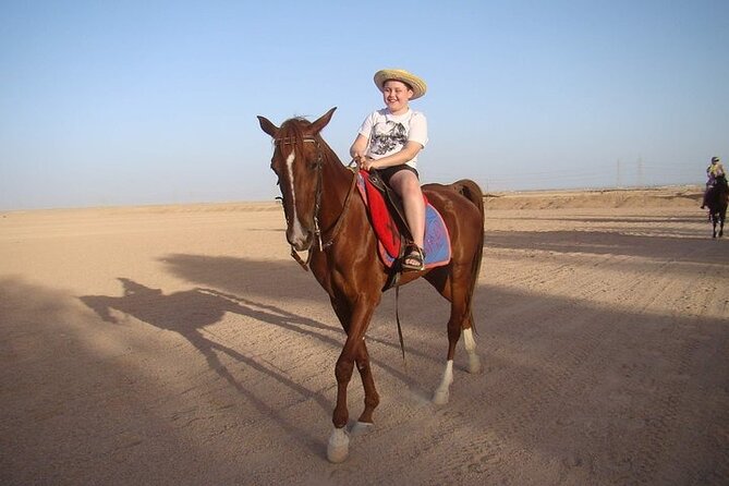 One Hour Horse or Camel Riding with Transfer- Sharm El-Sheikh - Key points at a glance