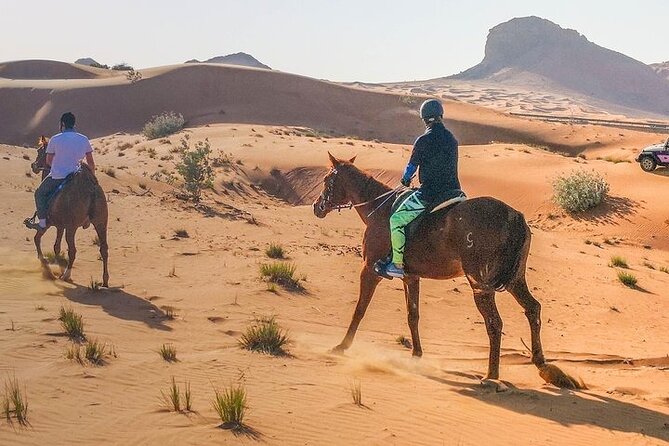 One Hour Horse or Camel Riding with Transfer- Sharm El-Sheikh - The halfway tea stop