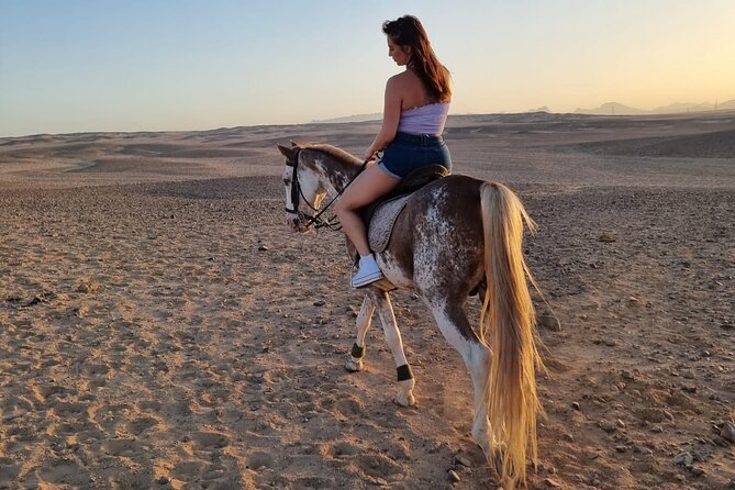 One Hour Horse or Camel Riding with Transfer- Sharm El-Sheikh - Returning through the desert
