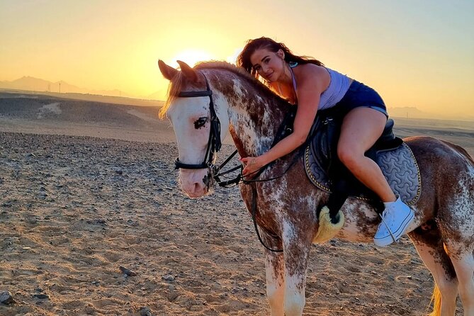 One Hour Horse or Camel Riding with Transfer- Sharm El-Sheikh - Who will enjoy this outing most