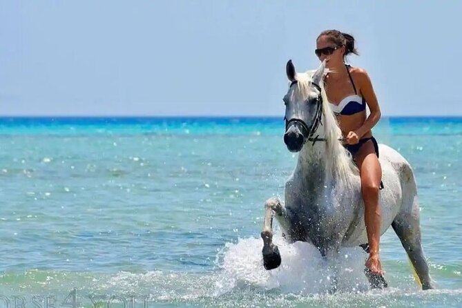 One Hour Horse Riding Beach with Transfer from Hurghada - Meeting the horses and getting ready