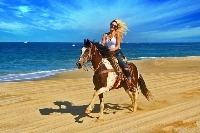 One Hour Horse Riding Beach with Transfer from Hurghada - One hour across sand, trails, and open ground
