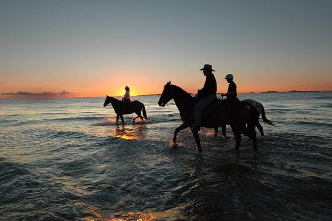 One Hour Horse Riding Beach with Transfer from Hurghada - Red Sea views from a different angle