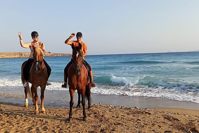 One Hour Horse Riding Beach with Transfer from Hurghada - The main drawback: basic facilities and transfer concerns