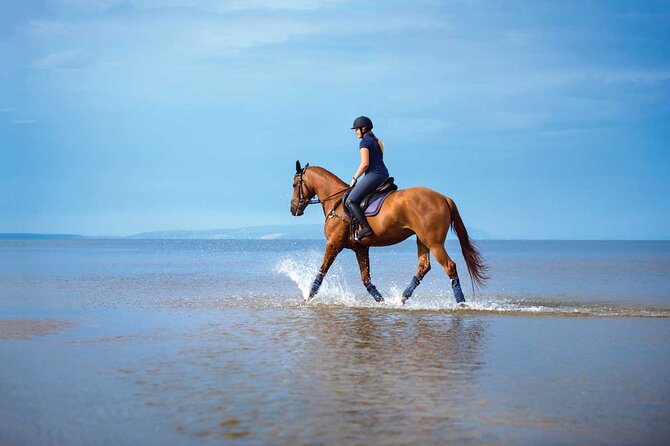 One Hour Horse Riding Beach with Transfer from Hurghada - Who should book this Hurghada horse ride?