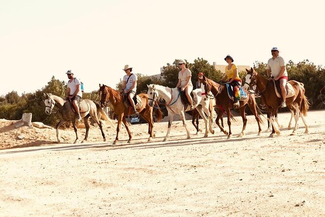 One Hour Horse Riding or Camel Riding At Amazing Desert in Hurghada - Choosing between a horse and a camel