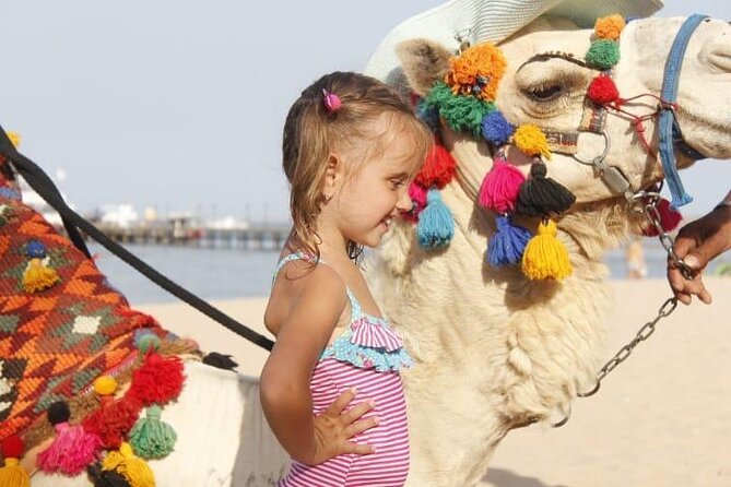 One Hour Horse Riding or Camel Riding At Amazing Desert in Hurghada - Sunset views and the best time to go