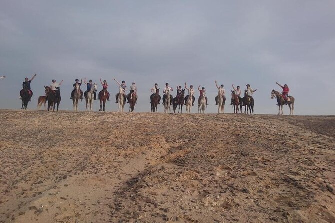 One Hour Horse Riding or Camel Riding At Amazing Desert in Hurghada - Communication and pickup matter