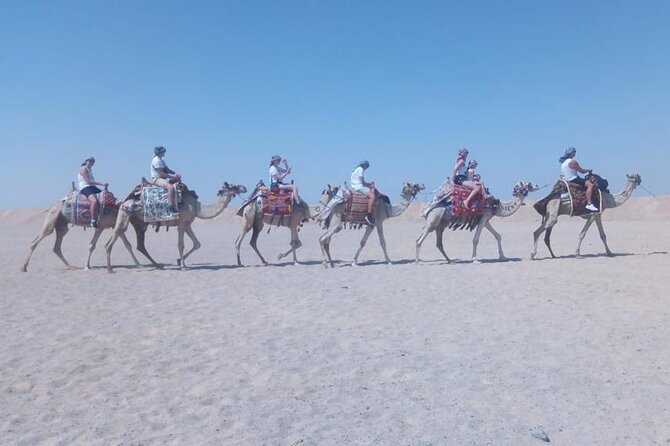 One Hour Horse Riding or Camel Riding At Amazing Desert in Hurghada - Who will enjoy this ride most