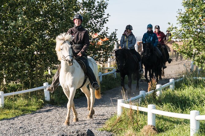 One-Hour Horseback Riding Tour in the Icelandic Countryside - What the farm route feels like in practice