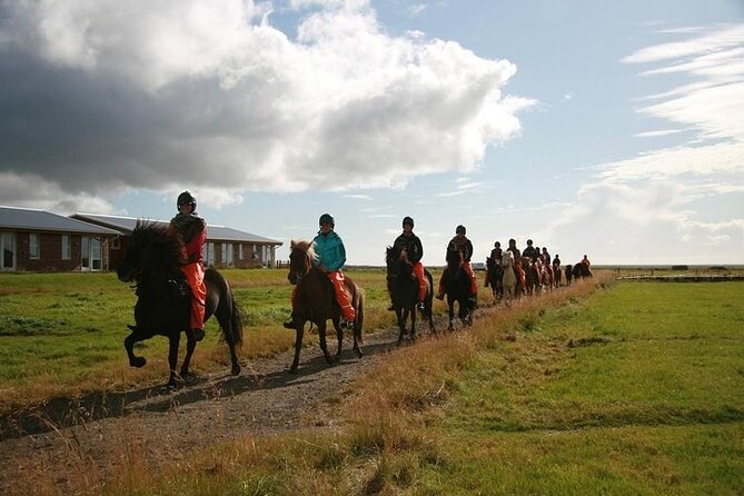 One-Hour Horseback Riding Tour in the Icelandic Countryside - How the one-hour duration affects the value
