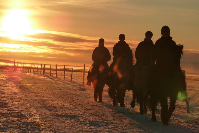 One-Hour Horseback Riding Tour in the Icelandic Countryside - Riding the Icelandic horses for one hour