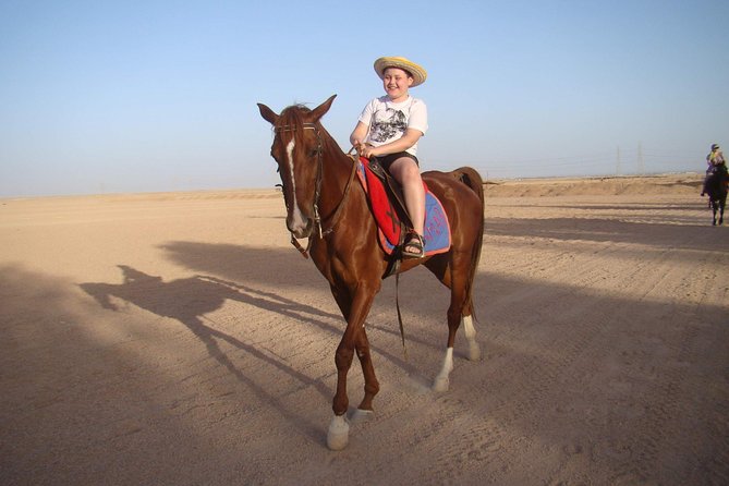 One Hour Horseback Riding Trip with Transfer - Sharm El Sheikh - Key points before you book
