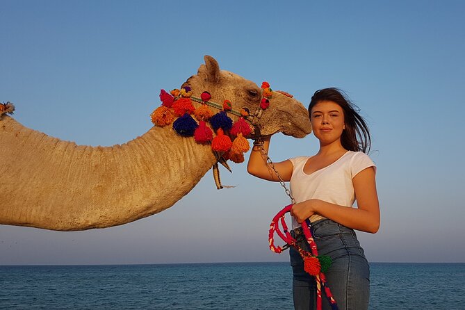 One Hour Horseback Riding Trip with Transfer - Sharm El Sheikh - What the $12 price really gives you