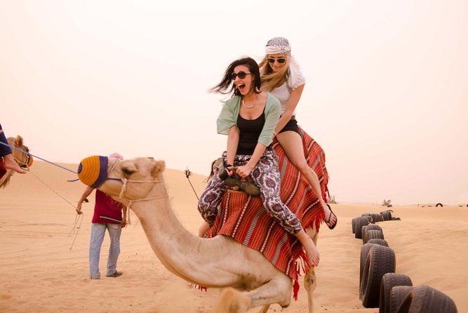 One Hour Horseback Riding Trip with Transfer - Sharm El Sheikh - Guides, communication, and photographs