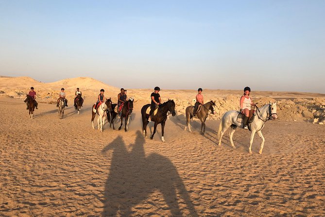 One Hour Horseback Riding Trip with Transfer - Sharm El Sheikh - What to pack for a short desert ride
