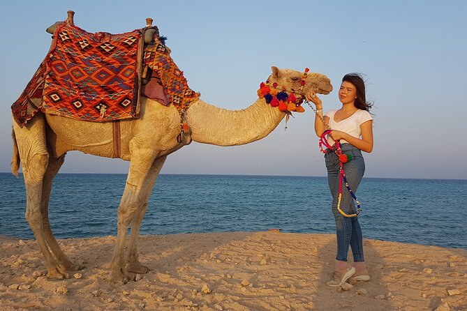 One Hour Horseback Riding Trip with Transfer - Sharm El Sheikh - Who will enjoy this experience most