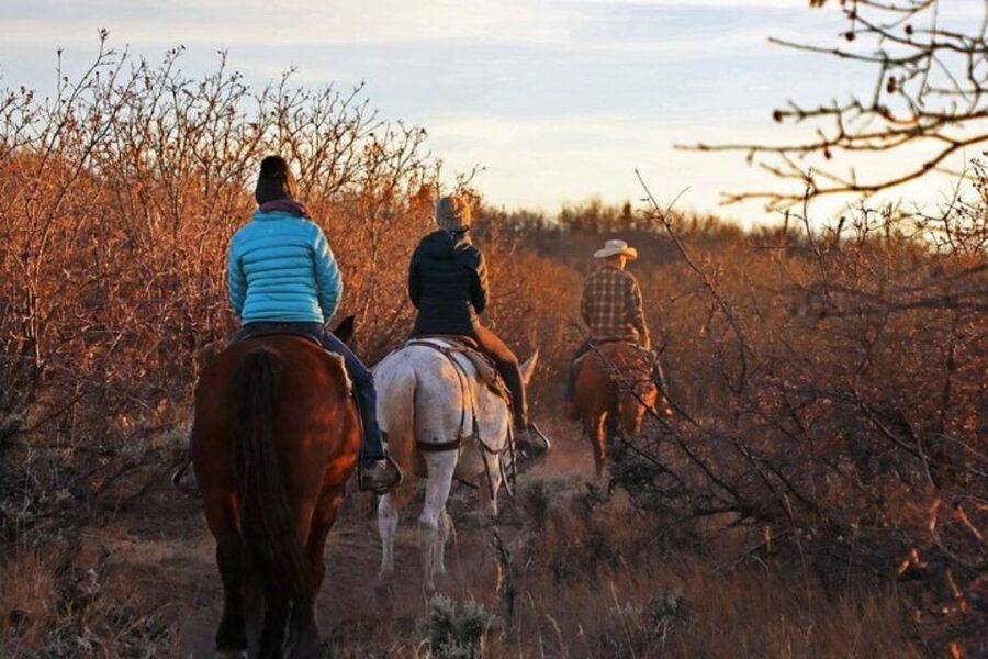 Orderville: Checkerboard Evening Shadow Horseback Ride - Starting at Zion Ponderosa Ranch Resort