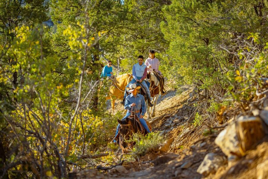 Orderville: Checkerboard Evening Shadow Horseback Ride - Following the rocky trails near Zion