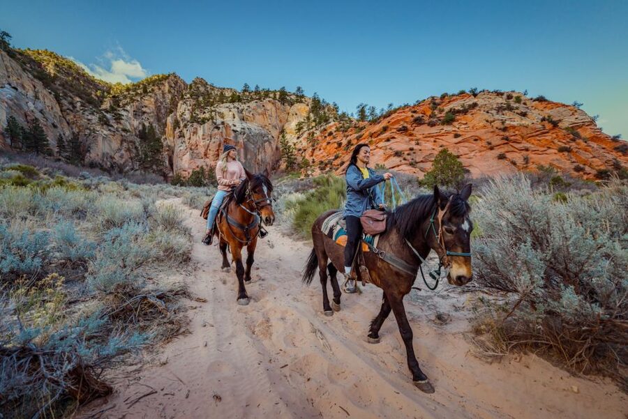 Orderville: East Zion Park White Mountain Horseback Tour - Key points to know before you book