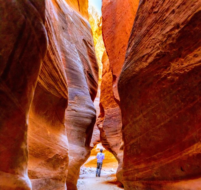 Orderville: East Zion Park White Mountain Horseback Tour - Learning the reins before the trail