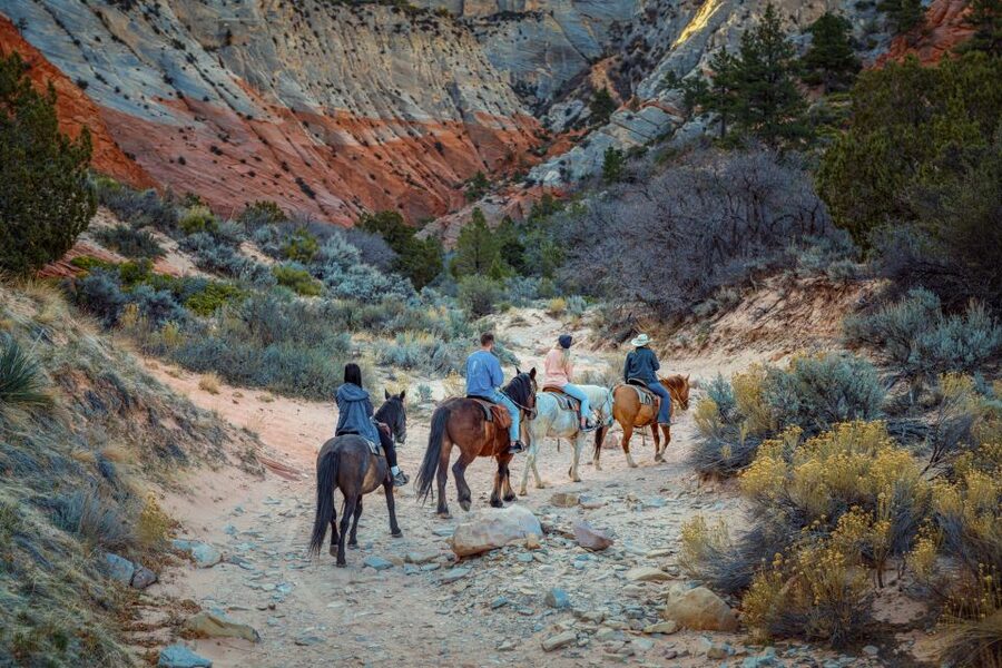 Orderville: East Zion Park White Mountain Horseback Tour - Riding through the quiet East Zion backcountry