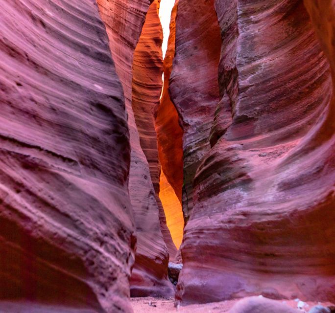 Orderville: East Zion Park White Mountain Horseback Tour - What the $67 price really buys you