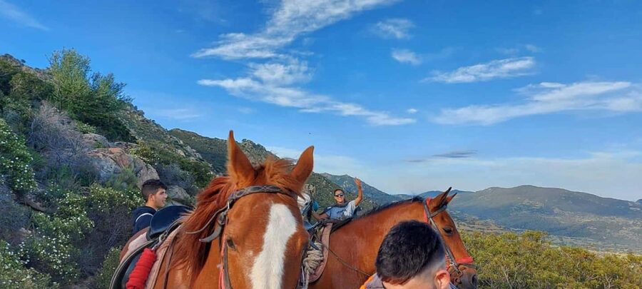 Orosei: horse riding on the beach - Foghe Pizzinna and the Cedrino River mouth
