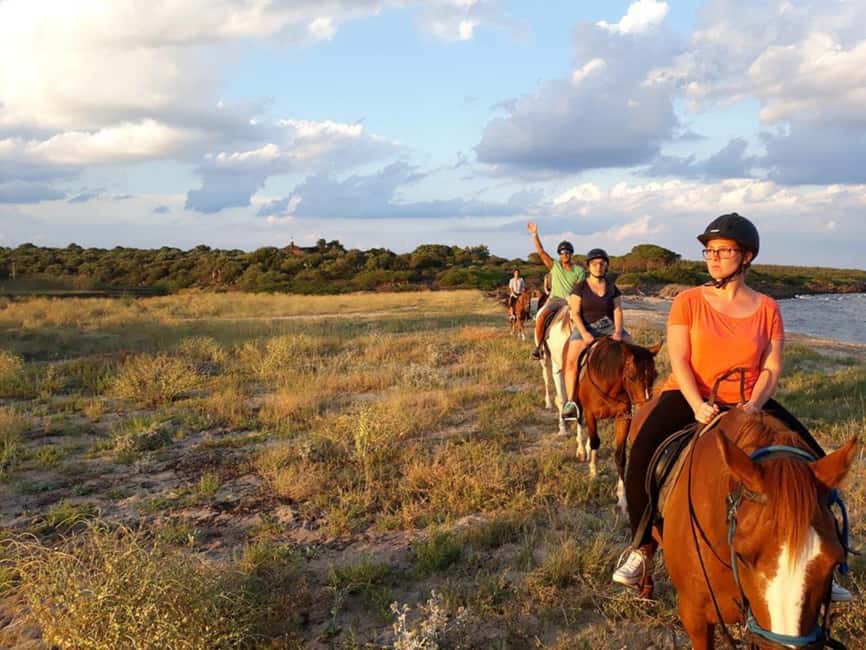 Orosei: horse riding on the beach - Meeting the horses near the pine tree