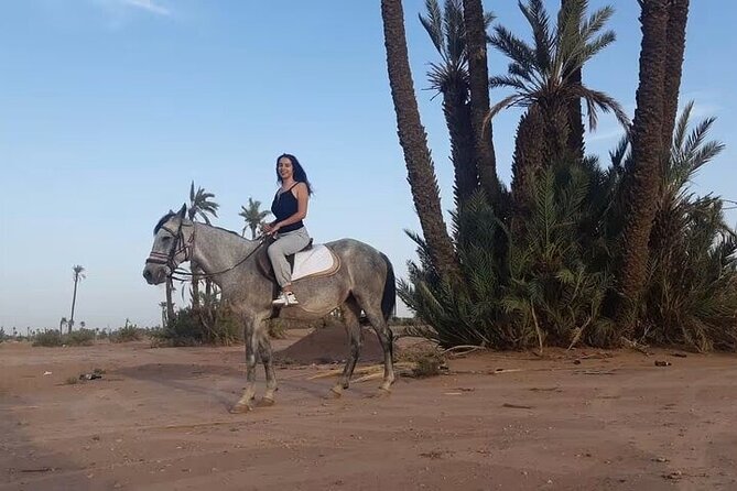 Palmeraie Grove Horse Ride 2 Hour Trip with Transfer - Marrakesh - Key Points Before You Book