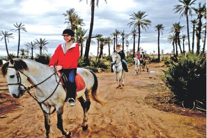 Palmeraie Grove Horse Ride 2 Hour Trip with Transfer - Marrakesh - Walking, Trotting, and Galloping