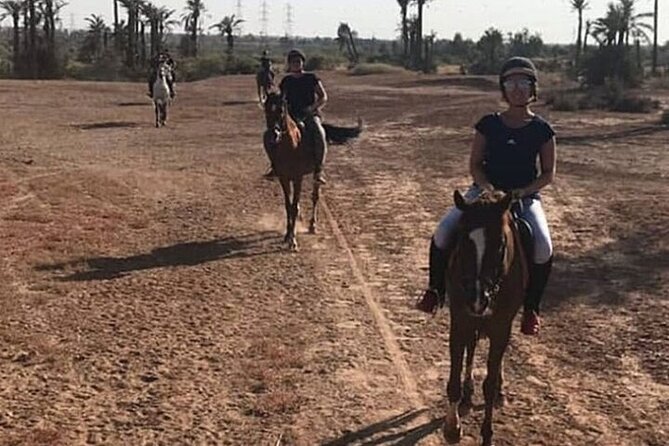 Palmeraie Grove Horse Ride 2 Hour Trip with Transfer - Marrakesh - The Human Side of the Ride