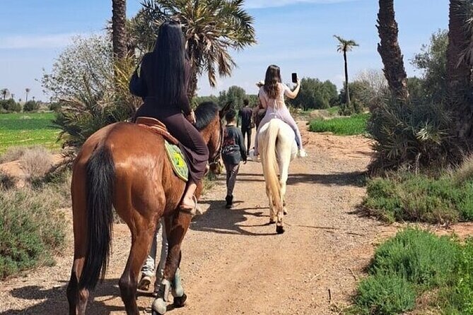 Palmeraie Grove Horse Ride 2 Hour Trip with Transfer - Marrakesh - Mint Tea After the Saddle
