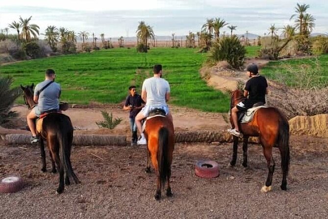 Palmeraie Grove Horse Ride 2 Hour Trip with Transfer - Marrakesh - Price and Overall Value