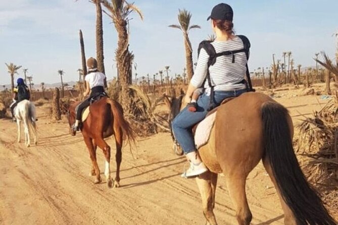 Palmeraie Grove Horse Ride 2 Hour Trip with Transfer - Marrakesh - Who Will Enjoy This Ride Most?