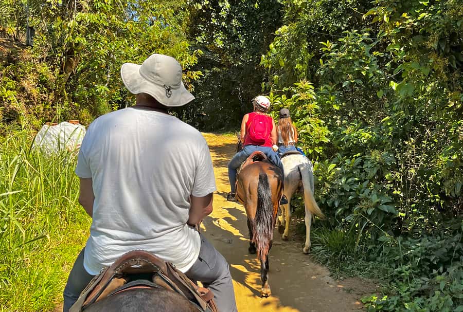 Paraty: 3-Hour Rainforest Horseback Ride - Key points at a glance
