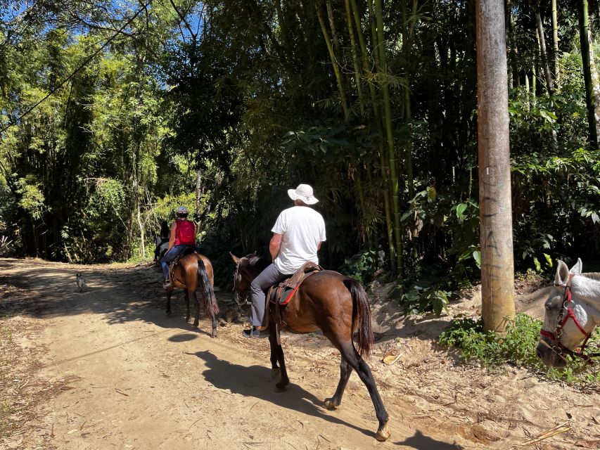 Paraty: 3-Hour Rainforest Horseback Ride - Practical preparation for the three hours