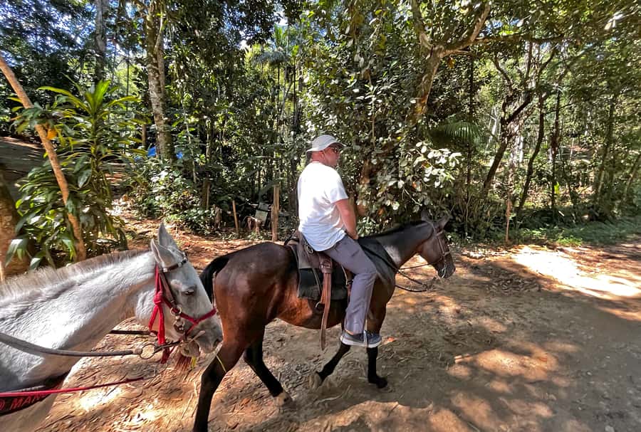 Paraty: 3-Hour Rainforest Horseback Ride - Waterfalls, swimming, and the best lookouts